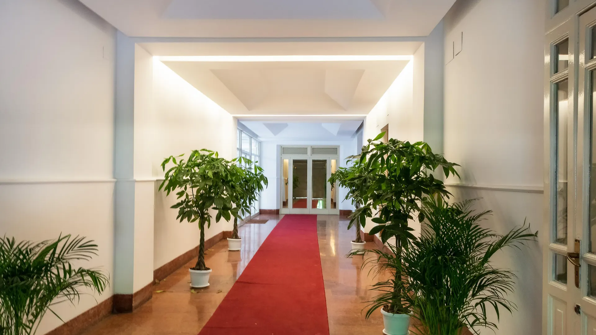 Belmonte102 Esclusive Suites 巴勒莫 3*,  意大利